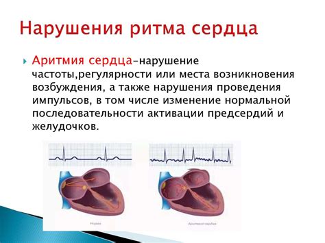 Циркадианное ритм