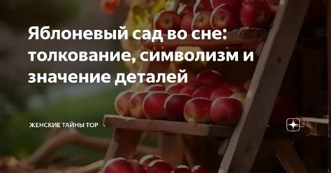 Цыганский символизм во сне