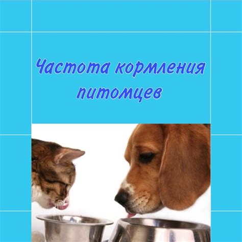 Частота кормления