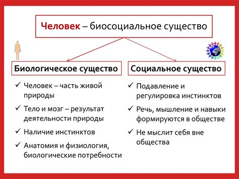 Человек как социальное существо