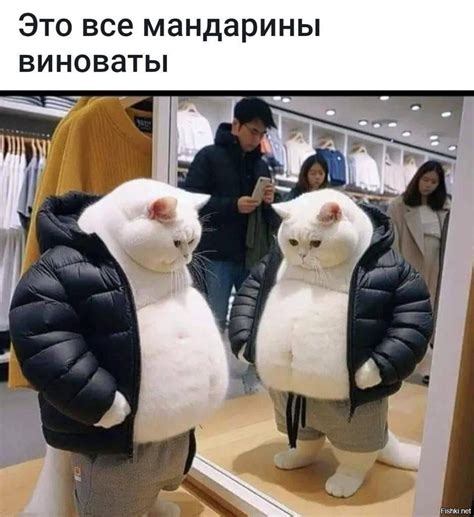 Чем может обернуться дальнейшая коммуникация