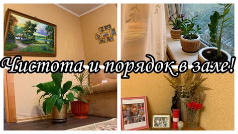 Чистота и порядок в зале