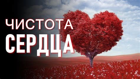 Чистота мыслей и сердца