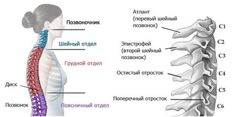 Чрезмерная нагрузка на шейный отдел позвоночника