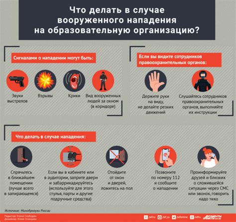 Что делать в случае нападения морского котика