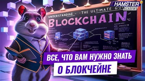 Что нужно знать о питании хомяков