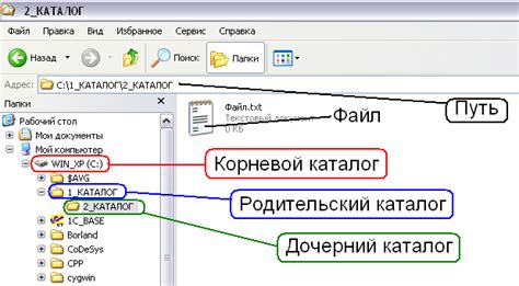 Что представляет собой корневой каталог