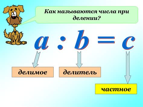 Что такое делитель числа