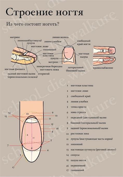 Шаги по склеиванию треснутого ногтя в домашних условиях: практический гид