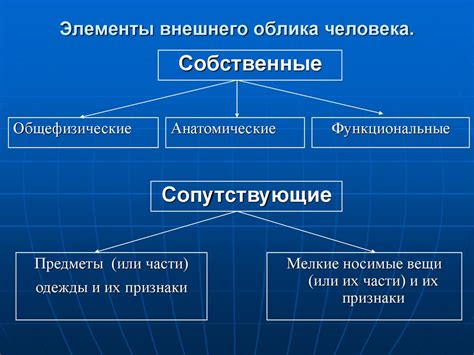 Шаг 1: Определение формы и внешнего облика тульпы