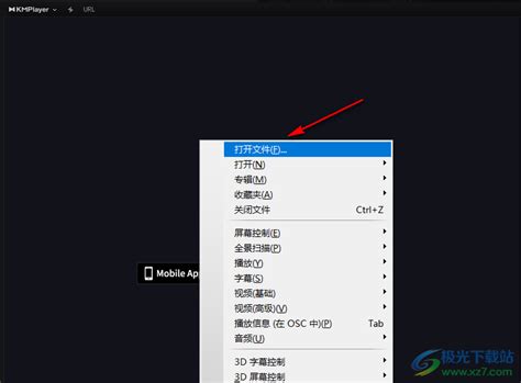 Шаг 3: Открытие KMPlayer
