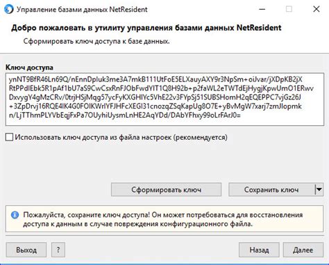 Шаг 4: Ввод ключа доступа и подключение к сети Нетбайнет