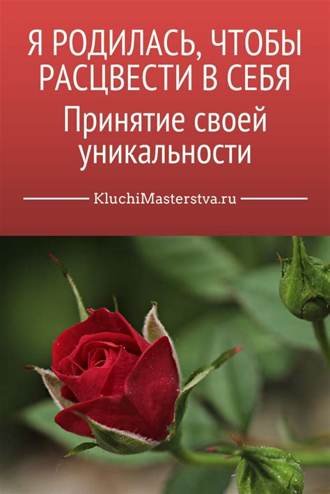Шаг 4: Принятие себя и своей уникальности