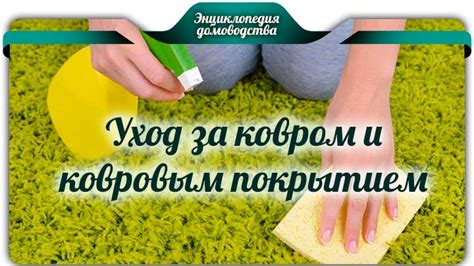 Шаг 5: Очистка и уход за ковром
