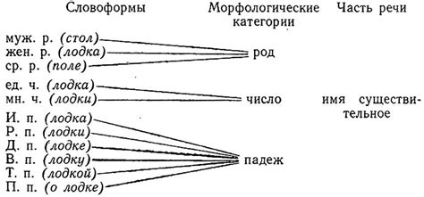 Широкий арсенал грамматических форм