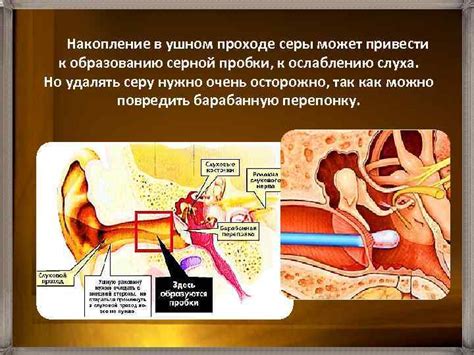 Шуршание в ушном проходе