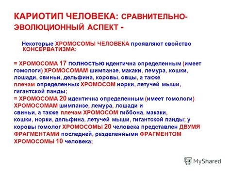 Эволюционный аспект зевоты