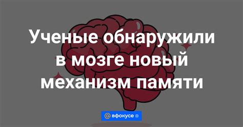 Эволюционный механизм памяти