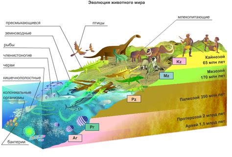 Эволюция и возникновение жизни