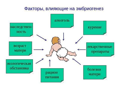 Экологические факторы и сегодняшняя беременность