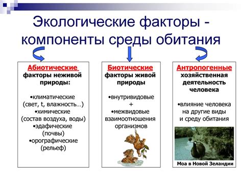 Экологические факторы и стресс