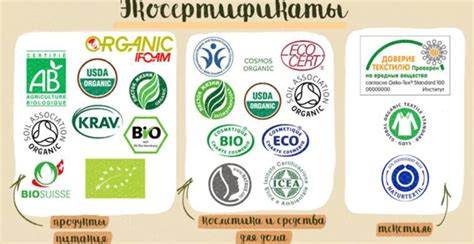 Экологически чистые продукты и товары для здорового образа жизни: новый тренд на рынке