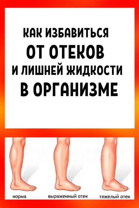 Экскреция лишней жидкости