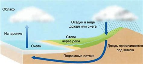 Элементы окружающей среды в географии