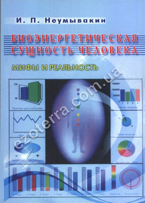 Энергетики на работе: мифы и реальность