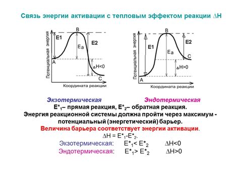 Энергия активации: определение, значение, роль