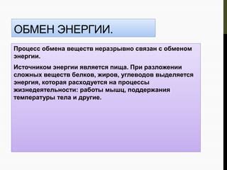 Энергия для поддержания жизнедеятельности