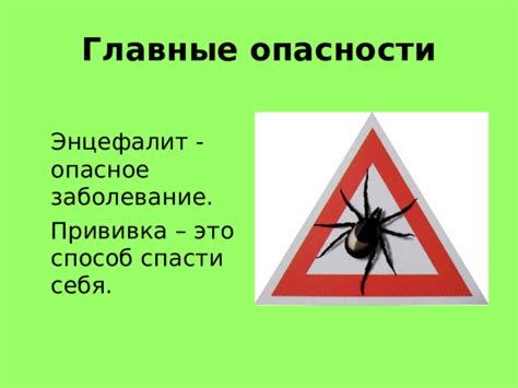 Энцефалит: опасное заболевание