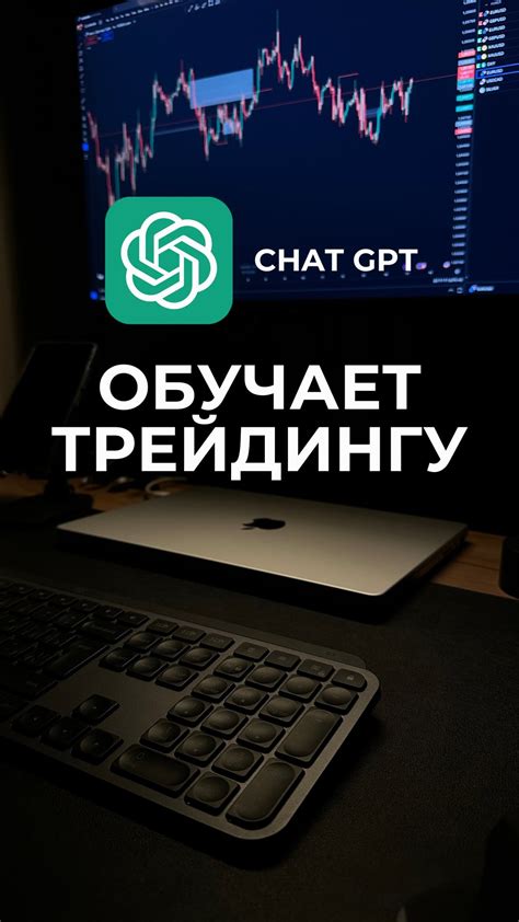 Этапы обучения: от освоения базовых навыков до владения техникой велосипедной езды