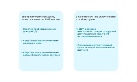 Этапы правильного оформления уведомления о ЕНП