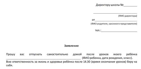 Этап 10: Возвращение домой и последующий уход