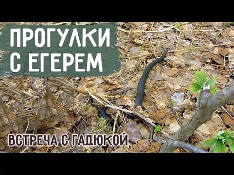 Эффективная защита от перегарания и запачкания пищи