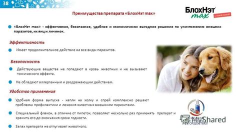 Эффективное действие на блох