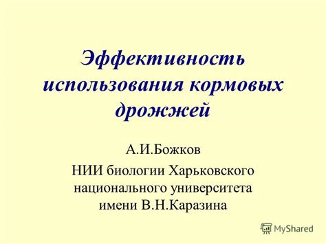 Эффективность использования имени