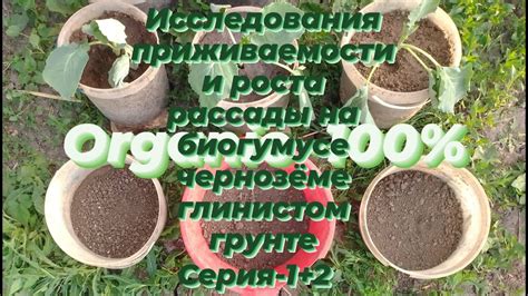Эффективность метода выращивания
