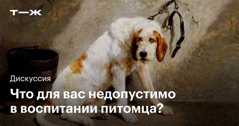 Эффективность метода в воспитании питомца
