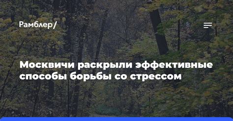 Эффективные способы борьбы со шкодителями