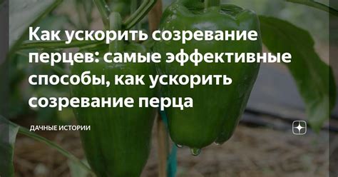 Эффективные способы очистки перца
