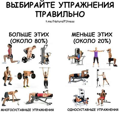 Эффективные тренировки без дополнительных добавок