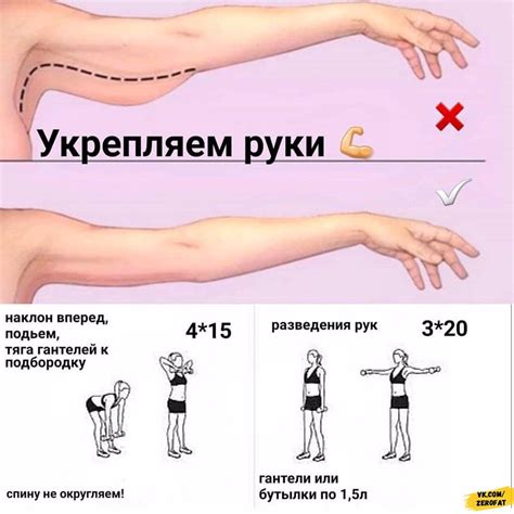 Эффективные упражнения для рук