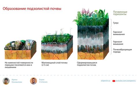 Эффекты изменения почвенной среды