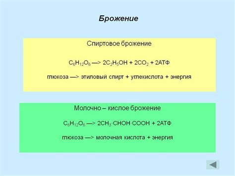 Эффекты сахара и декстрозы на процесс брожения