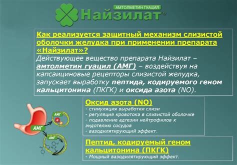 Эффект сала на функционирование ЖКТ