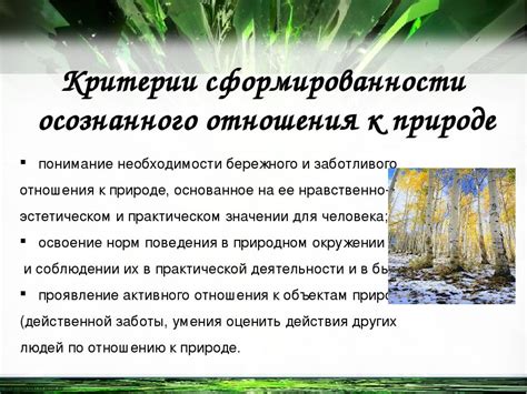  Бережное отношение к окружающей среде при разработке планов лесного хозяйства 