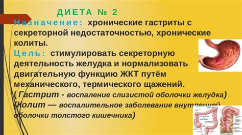  Влияние высокой температуры на состав и двигательную функцию кишечника 