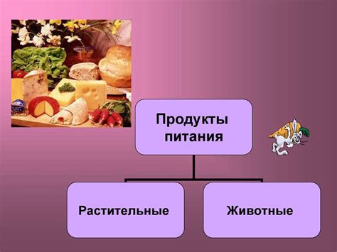  Влияние изменения предложения на рынке пищевых продуктов и его последствия для баланса 